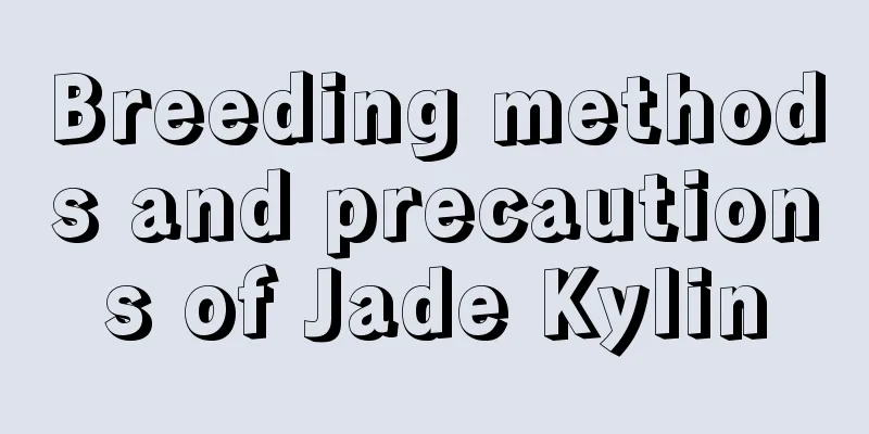 Breeding methods and precautions of Jade Kylin