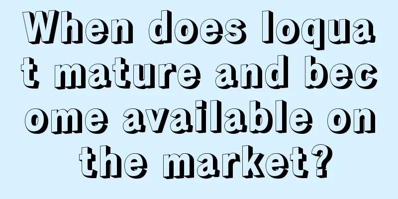 When does loquat mature and become available on the market?