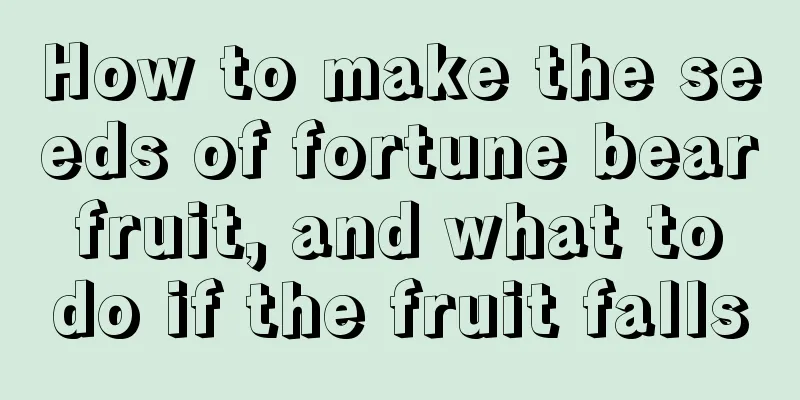 How to make the seeds of fortune bear fruit, and what to do if the fruit falls