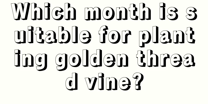 Which month is suitable for planting golden thread vine?