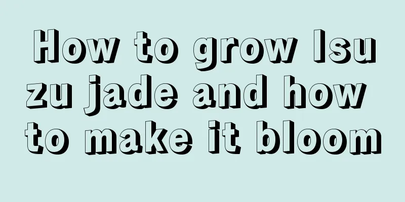 How to grow Isuzu jade and how to make it bloom