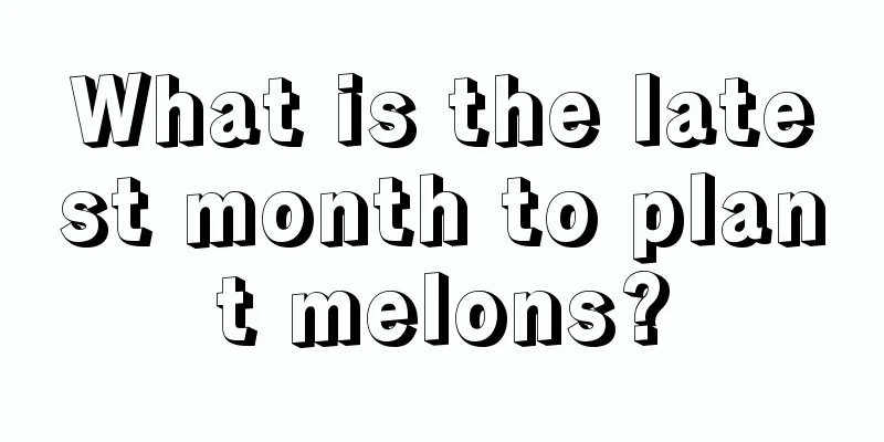 What is the latest month to plant melons?