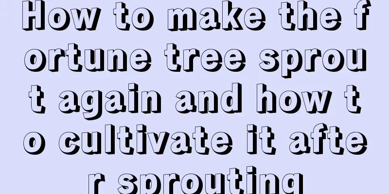 How to make the fortune tree sprout again and how to cultivate it after sprouting