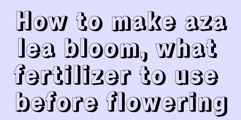 How to make azalea bloom, what fertilizer to use before flowering