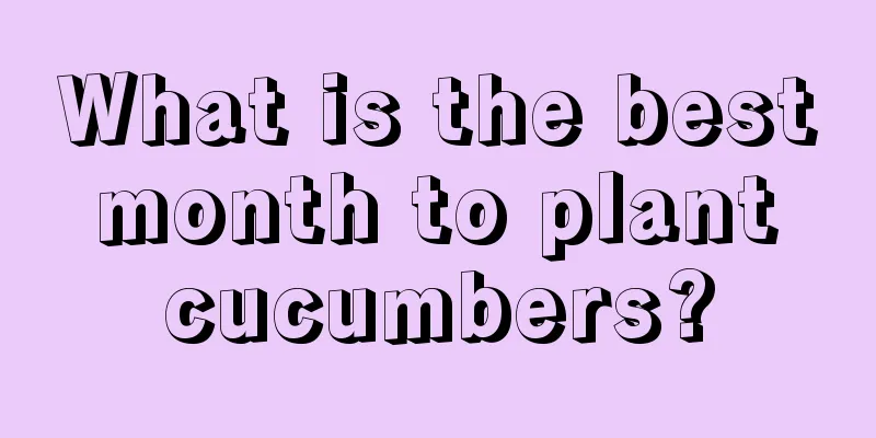 What is the best month to plant cucumbers?