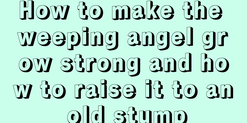 How to make the weeping angel grow strong and how to raise it to an old stump