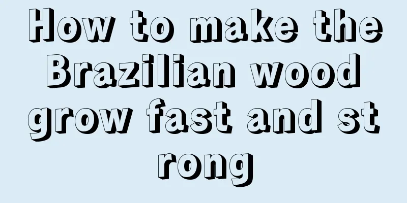 How to make the Brazilian wood grow fast and strong