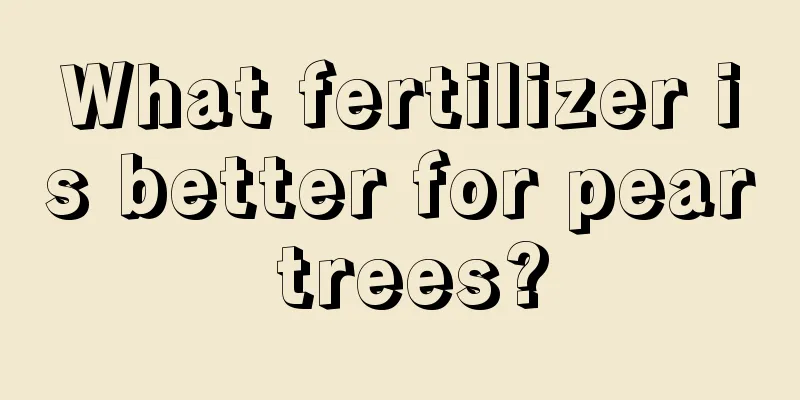 What fertilizer is better for pear trees?