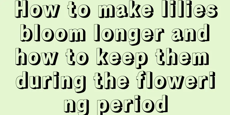 How to make lilies bloom longer and how to keep them during the flowering period