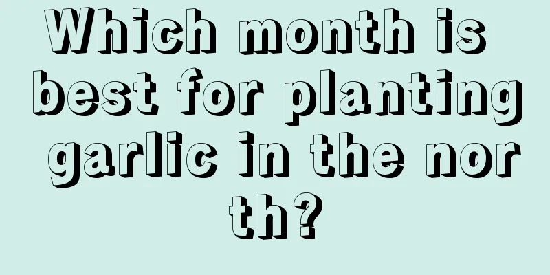 Which month is best for planting garlic in the north?