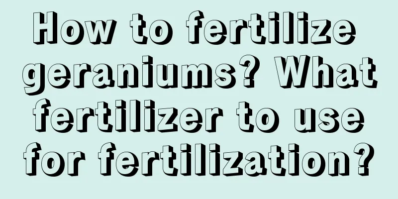 How to fertilize geraniums? What fertilizer to use for fertilization?