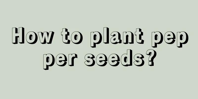 How to plant pepper seeds?