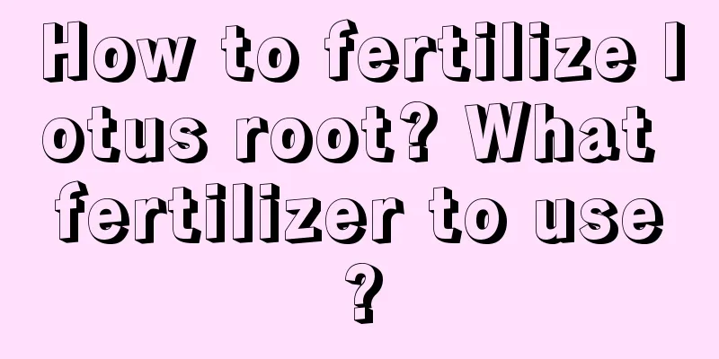 How to fertilize lotus root? What fertilizer to use?