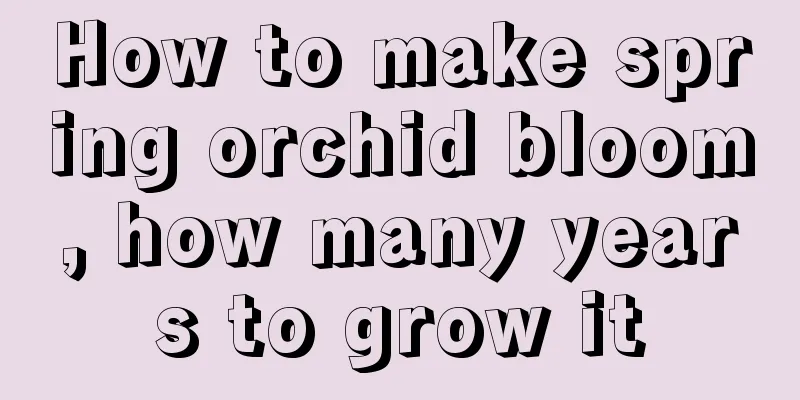 How to make spring orchid bloom, how many years to grow it