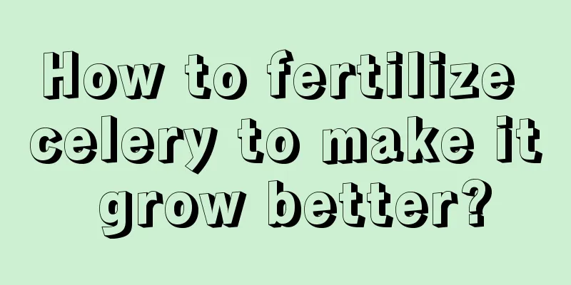 How to fertilize celery to make it grow better?