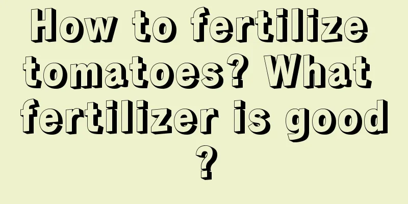 How to fertilize tomatoes? What fertilizer is good?