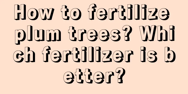 How to fertilize plum trees? Which fertilizer is better?