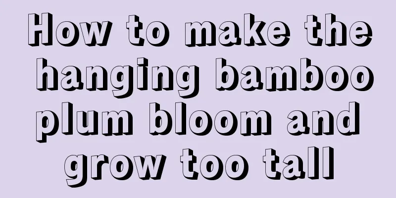 How to make the hanging bamboo plum bloom and grow too tall