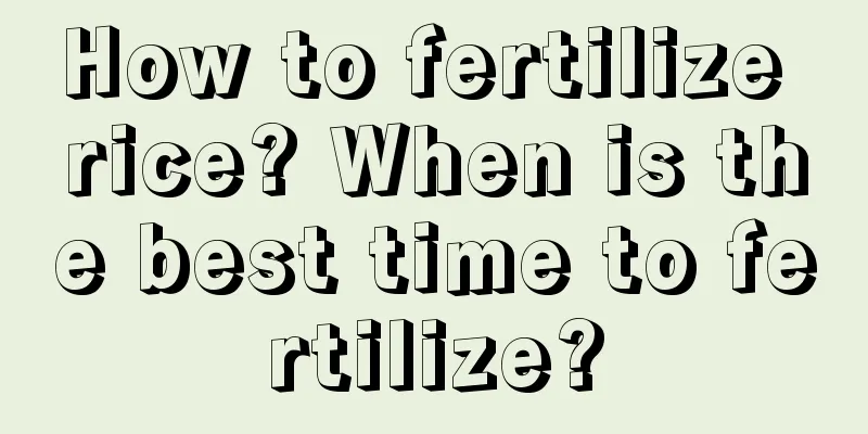 How to fertilize rice? When is the best time to fertilize?