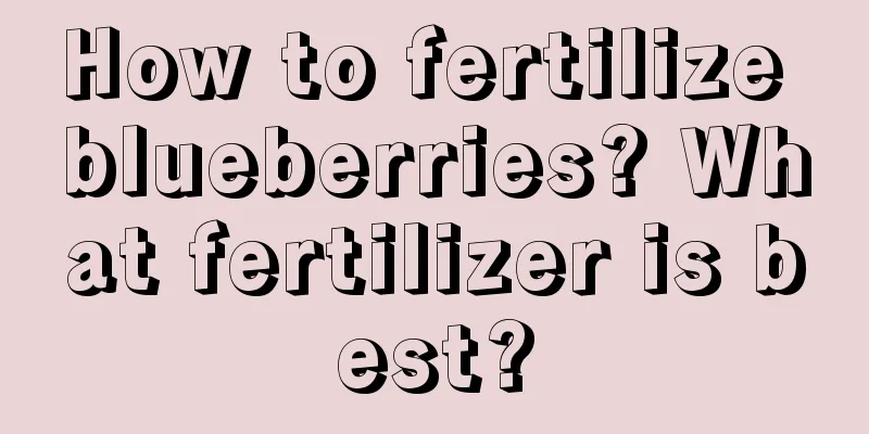 How to fertilize blueberries? What fertilizer is best?