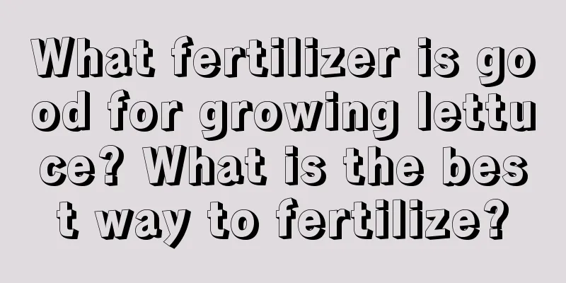 What fertilizer is good for growing lettuce? What is the best way to fertilize?