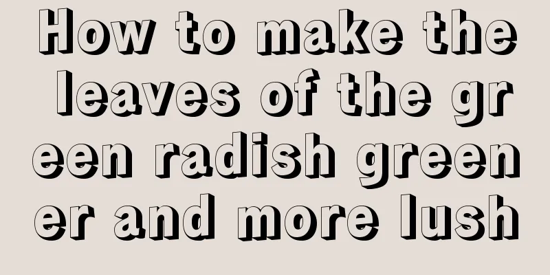 How to make the leaves of the green radish greener and more lush