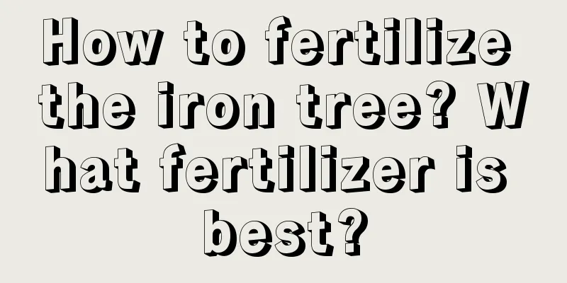 How to fertilize the iron tree? What fertilizer is best?