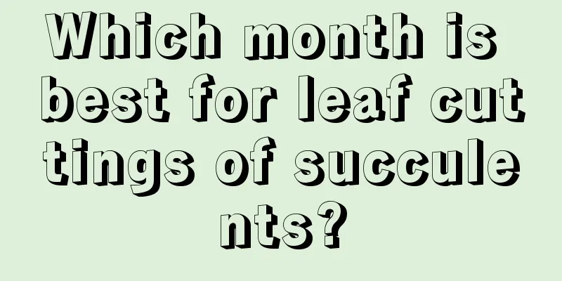 Which month is best for leaf cuttings of succulents?