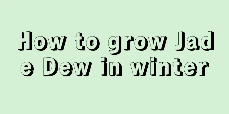 How to grow Jade Dew in winter