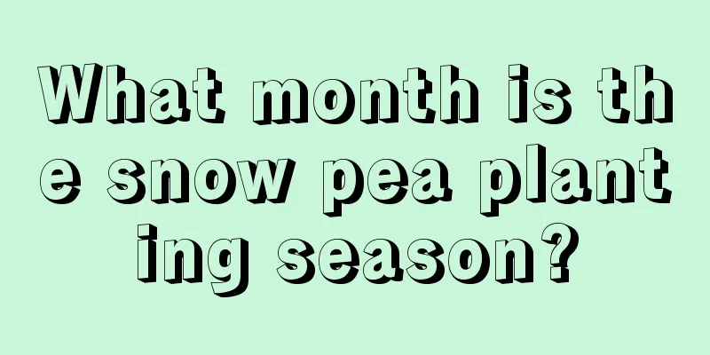 What month is the snow pea planting season?