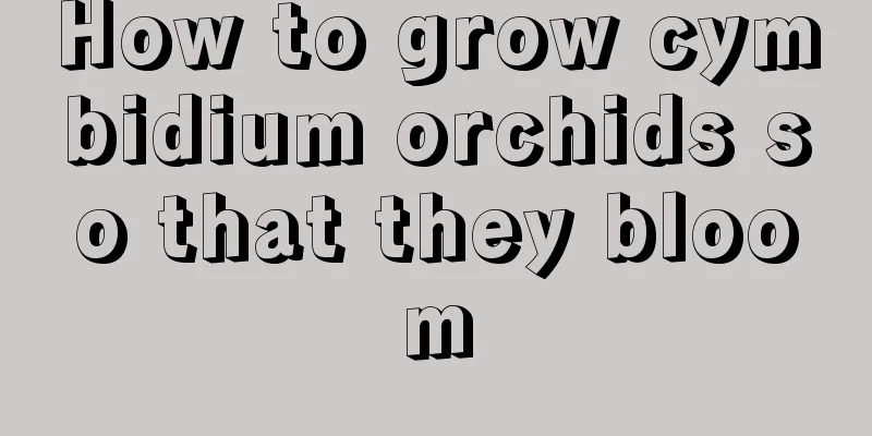 How to grow cymbidium orchids so that they bloom