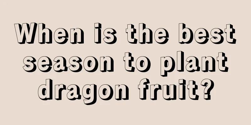 When is the best season to plant dragon fruit?