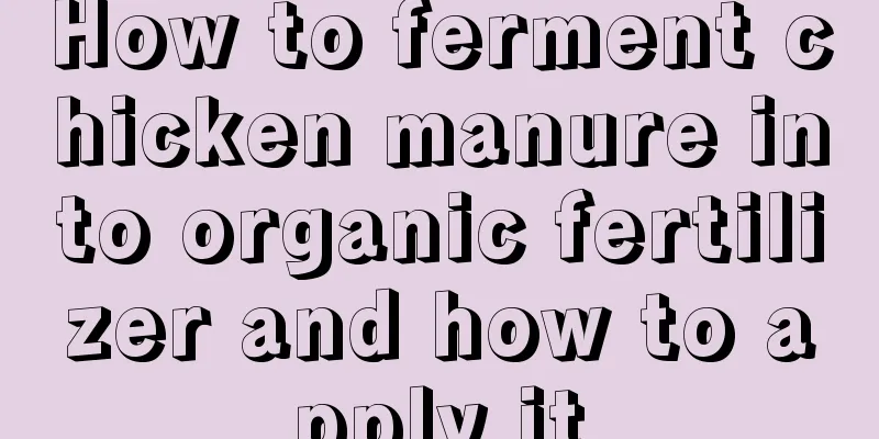 How to ferment chicken manure into organic fertilizer and how to apply it