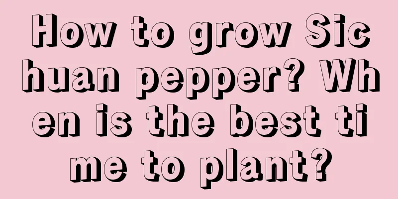 How to grow Sichuan pepper? When is the best time to plant?