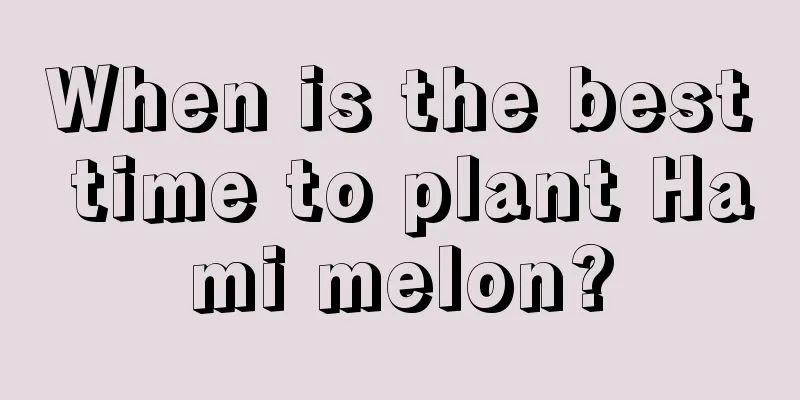 When is the best time to plant Hami melon?