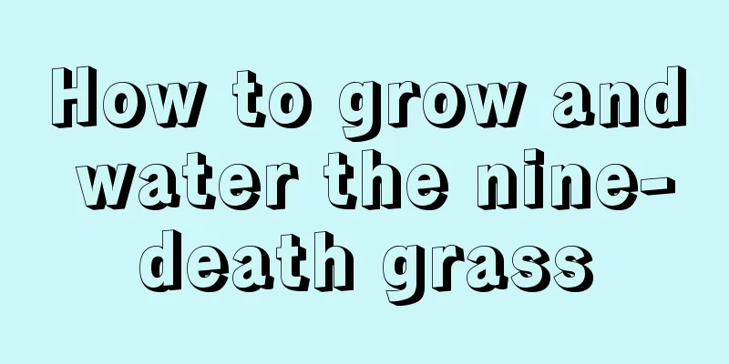 How to grow and water the nine-death grass