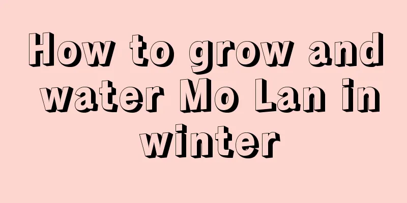 How to grow and water Mo Lan in winter