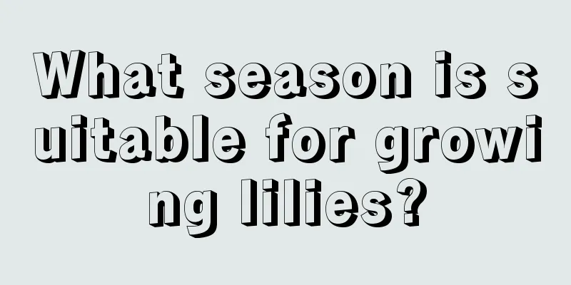 What season is suitable for growing lilies?