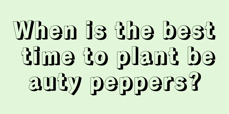 When is the best time to plant beauty peppers?