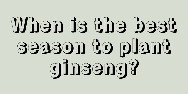 When is the best season to plant ginseng?