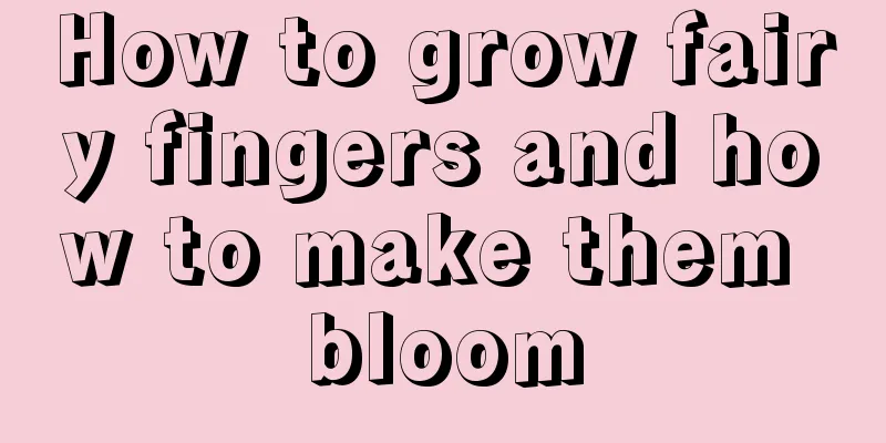 How to grow fairy fingers and how to make them bloom