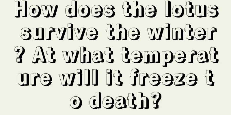 How does the lotus survive the winter? At what temperature will it freeze to death?