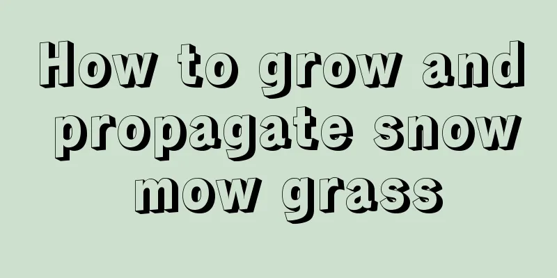 How to grow and propagate snow mow grass