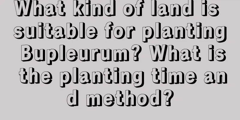 What kind of land is suitable for planting Bupleurum? What is the planting time and method?