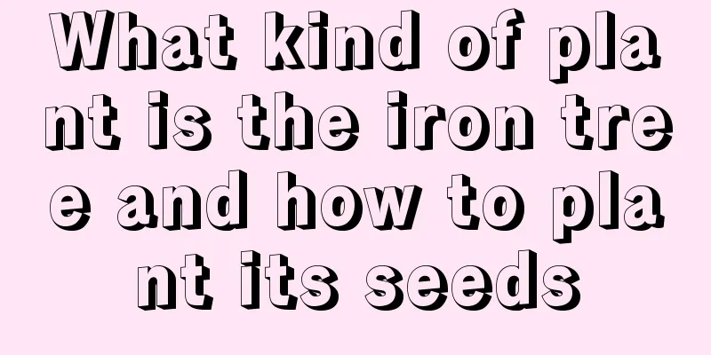 What kind of plant is the iron tree and how to plant its seeds