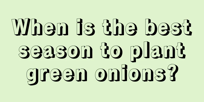 When is the best season to plant green onions?