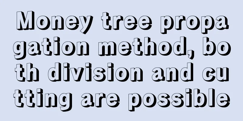 Money tree propagation method, both division and cutting are possible