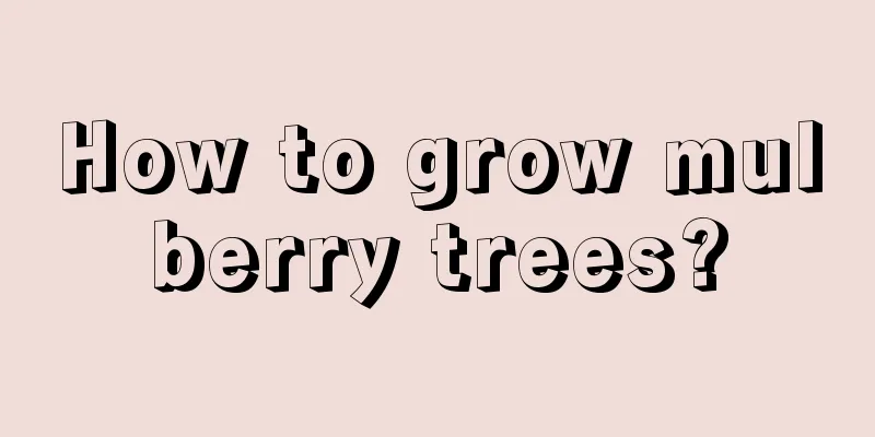 How to grow mulberry trees?