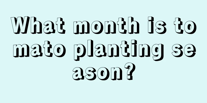 What month is tomato planting season?