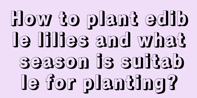 How to plant edible lilies and what season is suitable for planting?